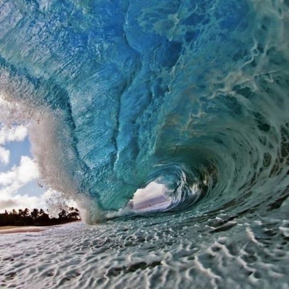 Meet your Posher, James - Picture 1 of 1